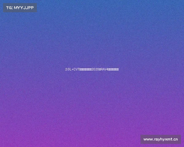 2.0L+CVT，一幅图快速了解2020款RAV4荣放入门版车型